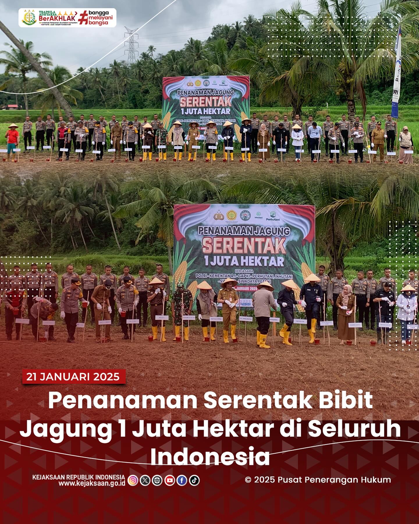 Bahwa pada hari Selasa, 21 Januari 2025, bertempat di Desa Talawi Mudik, Kecamatan Talawi Kota Sawahlunto, Kepala Kejaksaan Negeri Sawahlunto, Andarias D'Orney,S.H.,M.H., mengikuti Kegiatan Penanaman Serentak Bibit Jagung 1 Juta Hektar di Seluruh Indonesia yang di selenggarakan oleh Polres Sawahlunto - from Instagram